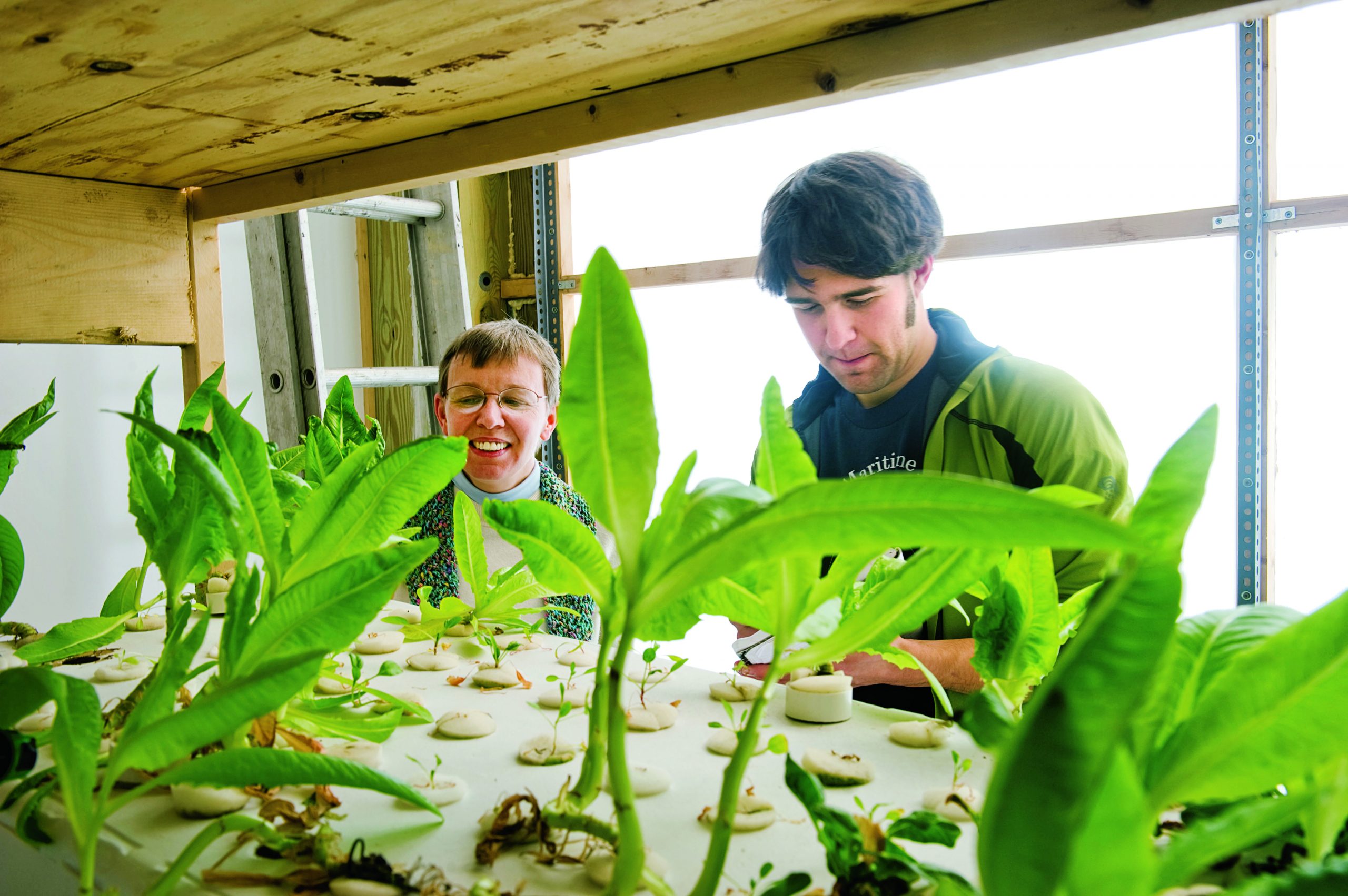 ISE Director Susan Powers works with a student in Clarkson's greenhouse on growing plants.