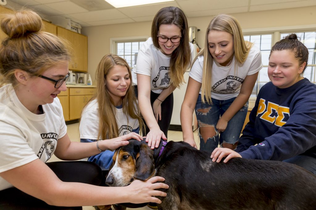 Five Clarkson pre-vet students pet a cute dog while getting community service experience at the Humane Society.