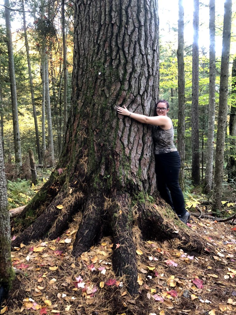 Megan hugging a tree in the Adirondacks.