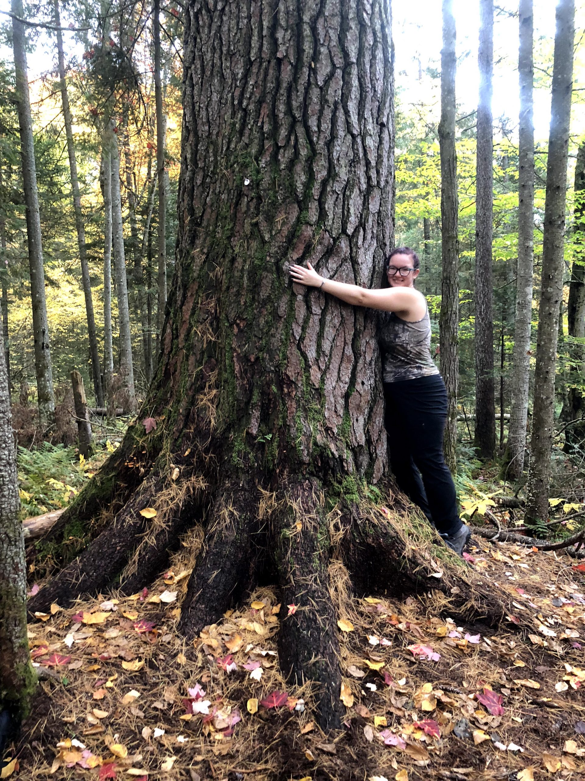 Megan hugging a tree.