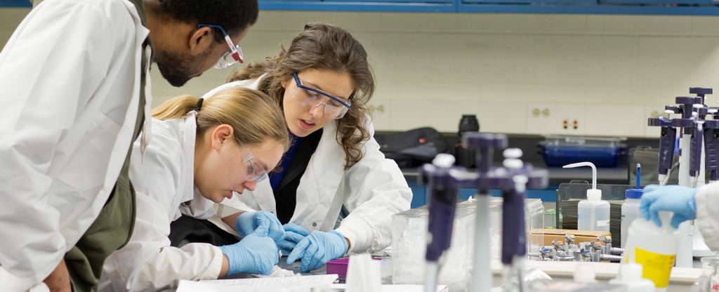 Clarkson alumna Jennifer Karekos '14 works on a biomolecular science project in a biotech lab class with two other students.