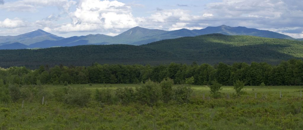 Landscape of green hills with the Adirondacks in the distance