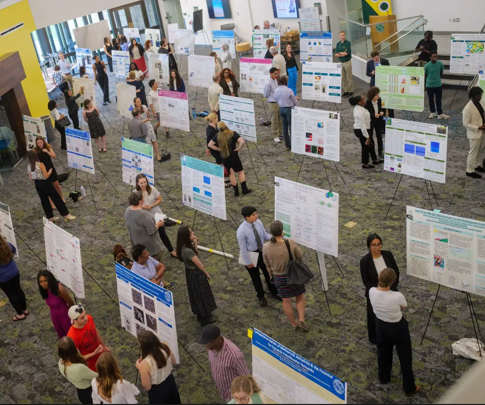 A group of students stand in front of research posters featured on easels.
