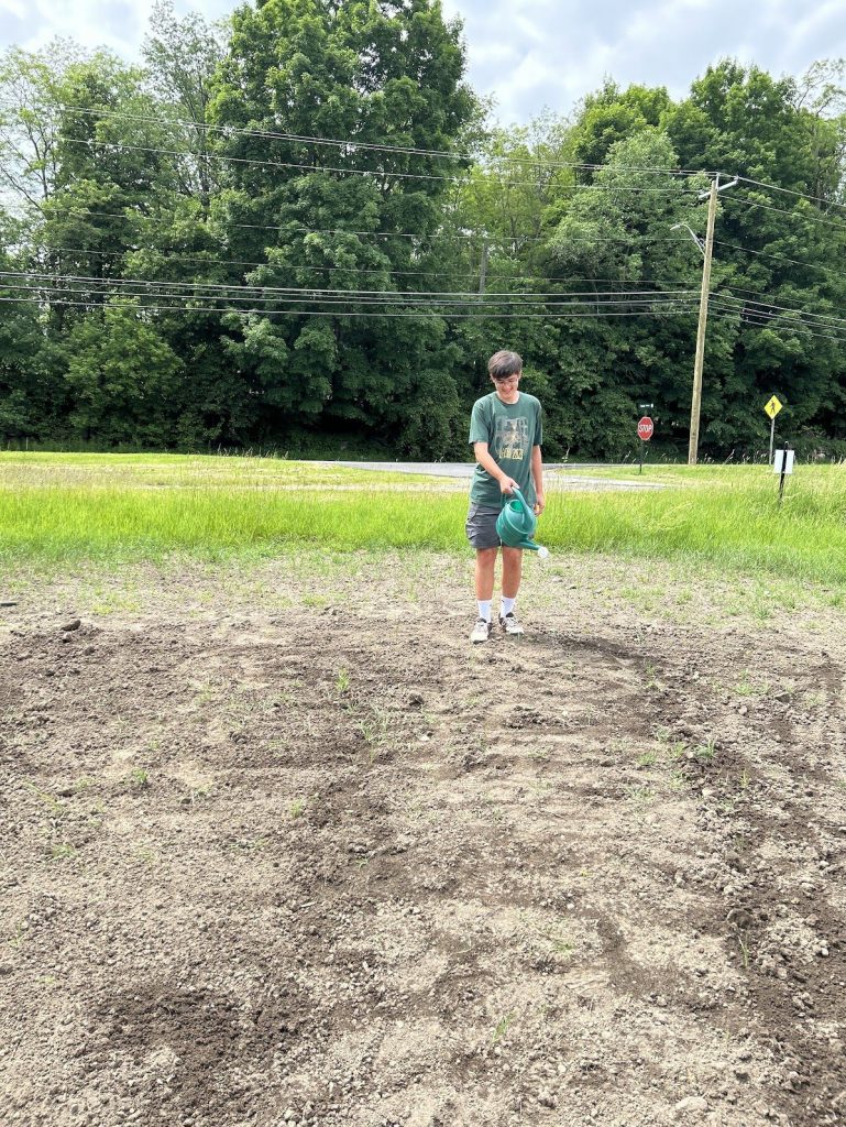 Jonas watering our new meadow restoration zone