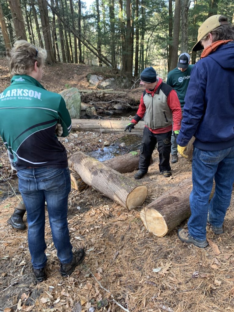 Four Clarkson University students from the Timber Bridge Team stand in a forest, discussing wood logs on the ground. They wear casual outdoor clothing. The mood is collaborative and focused.