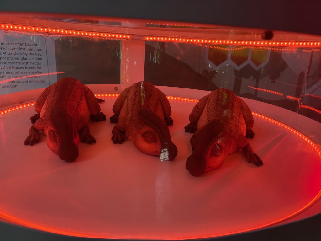 Picture of baby dinoasurs sleeping.