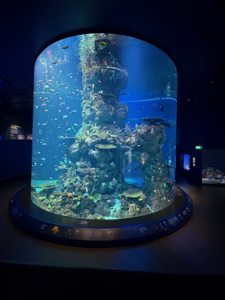 Picture of a circular fish tank.