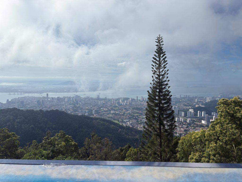 Picture of a jungle with a city in the background.