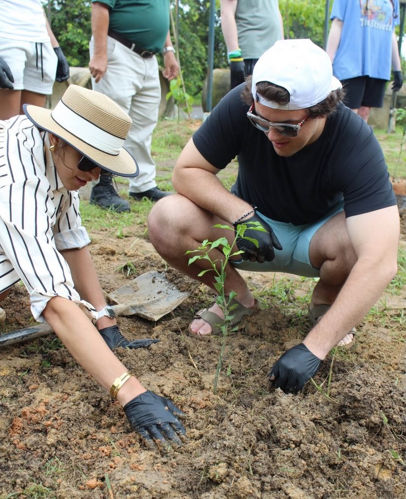 Picutre of two students planting a tree.
